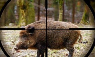 Femeie împușcată mortal în Maramureș. Ar fi fost confundată cu un animal sălbatic